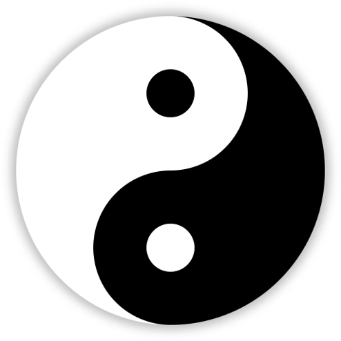 yin-yang symbolises the digital age target operating model as it balances emergent and predictable controls